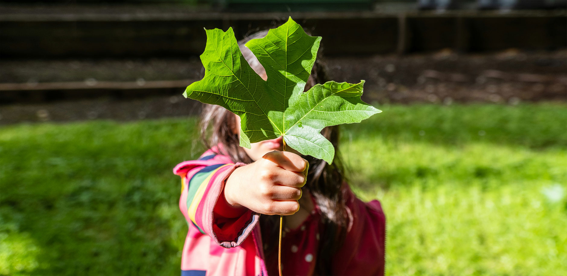 DB���ˡ�(�й���)�ٷ���վ