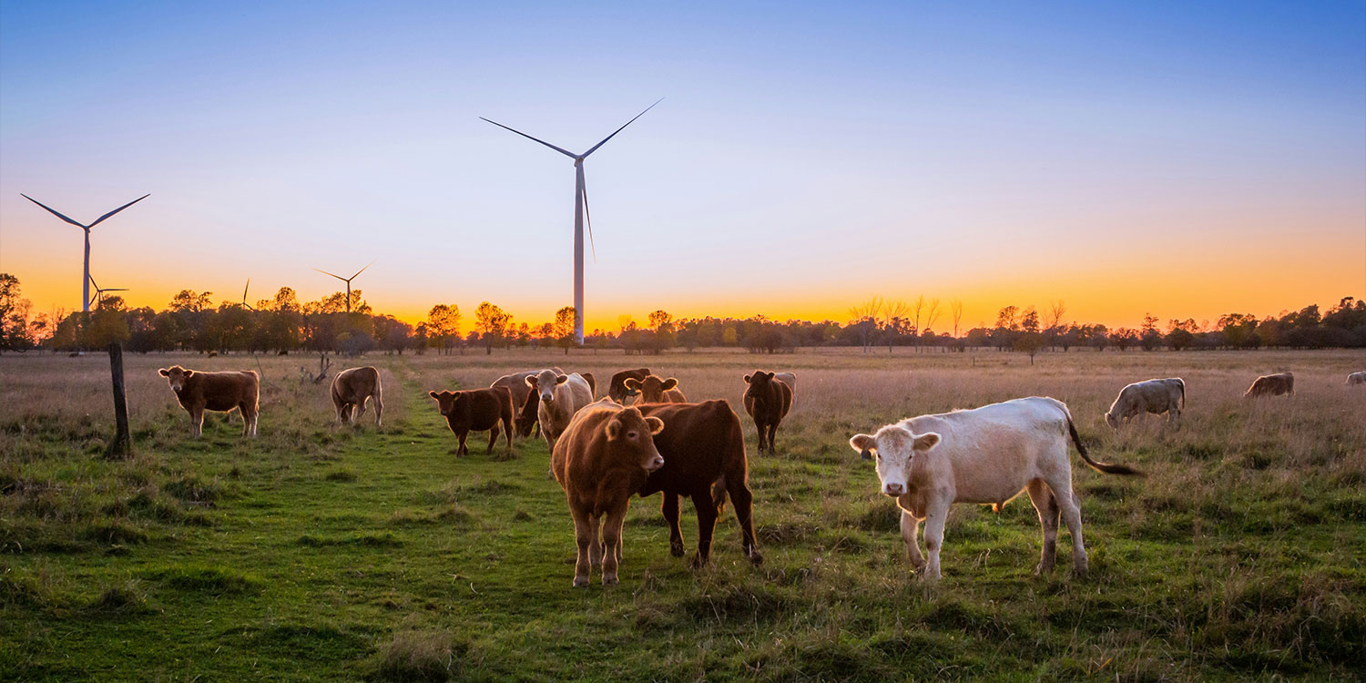 DB���ˡ�(�й���)�ٷ���վ