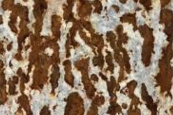 DB���ˡ�(�й���)�ٷ���վ